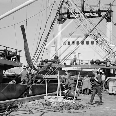 þJV 016 036 4-2.jpg