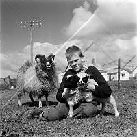ÓKM 063 123 4-3.jpg