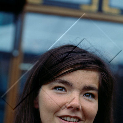 365 Björk Guðmundsdóttir 18.jpg