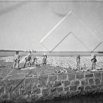 2004 24 1 33