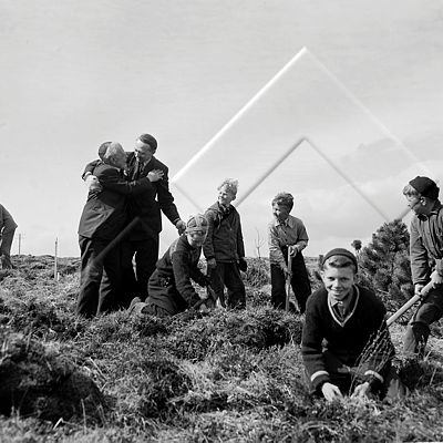 ÓKM 220 083 1-1.jpg
