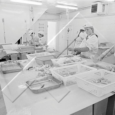 365 Sandgerði 013 08