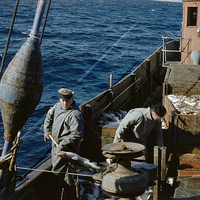 GRÓ 019 018 4-4.jpg