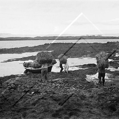 ÓSG Breiðafjarðareyjar 8