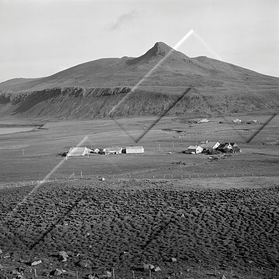 ÓSS 003 005 2-1.jpg