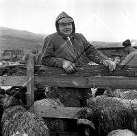 ÓKM 063 136 3-1.jpg