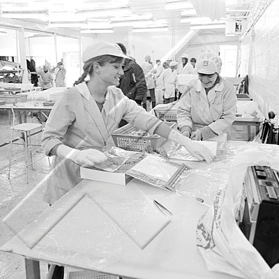 365 Sandgerði 013 44