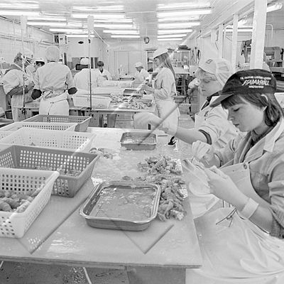 365 Sandgerði 013 06