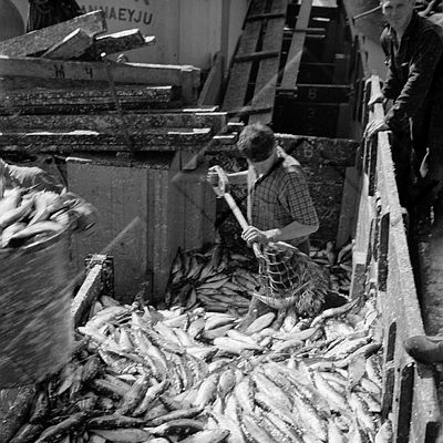 ÓKM 320 614 1-2.jpg