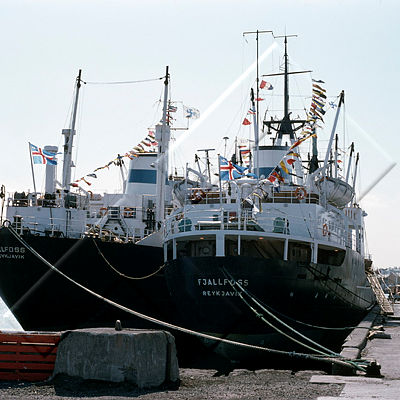 SVK 003 079 1-1