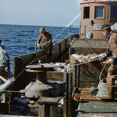 GRÓ 019 018 5-1.jpg