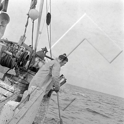 ALB 003 097 3-2 stór