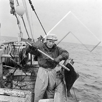 ALB 003 097 4-4 stór