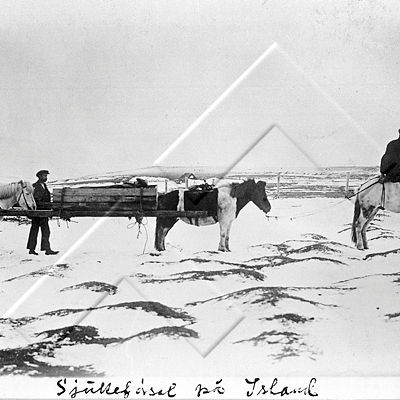 PSÖ 218