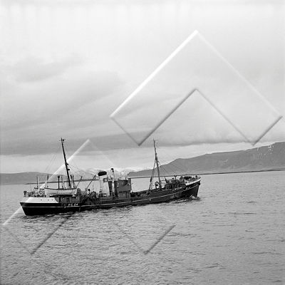SNS 012 036.jpg