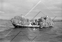 ÓSG 003 099 1-1.jpg