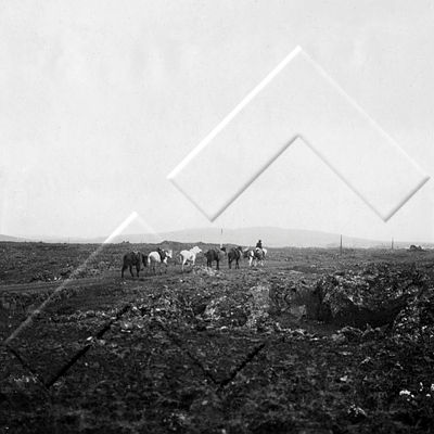 FFF 0107.jpg