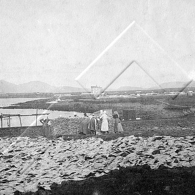 KAN 0207.jpg