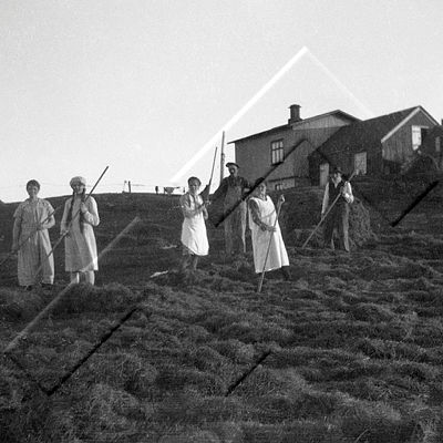 BRÁ ÁBS 023 1-1