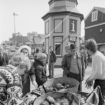 ÞJV 019 075 3-1