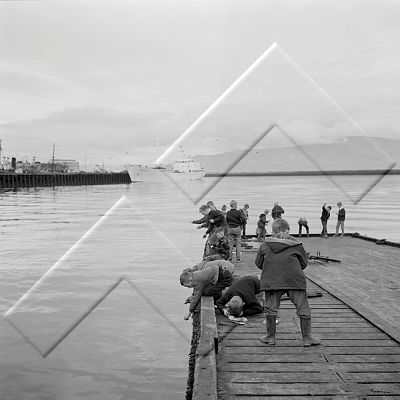 365 RVK HÖF 007 001 2-3