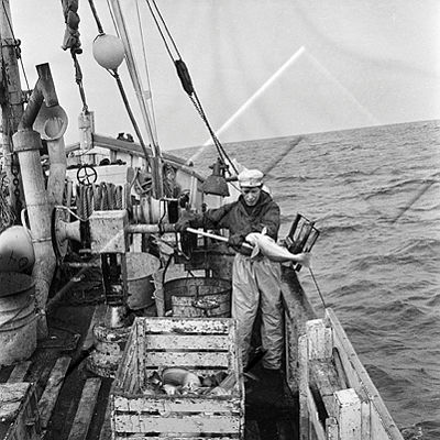 ALB 003 097 4-1
