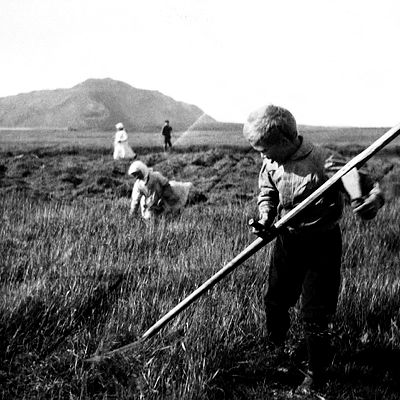 BRÁ ÁBS 022 2-2