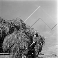 ÓKM 055 093 2-2.jpg