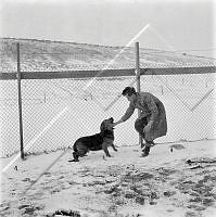 ÓKM 059 068 2-3.jpg