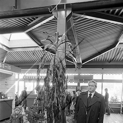 365 Gunnar Hansson arkitekt 02