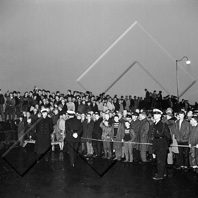 365 skip erlend Milwood 7