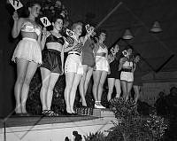 ÓKM 052 051 2-2.jpg