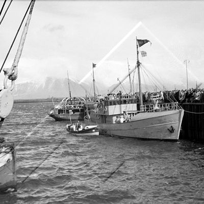 KAN 001 065 1-2.jpg
