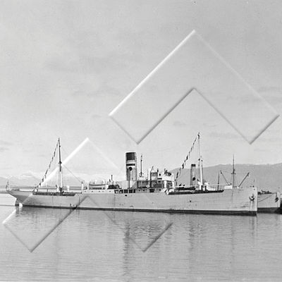 SKG 1223