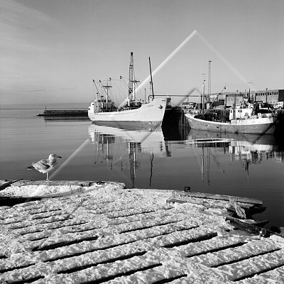 SNS 037 103.jpg