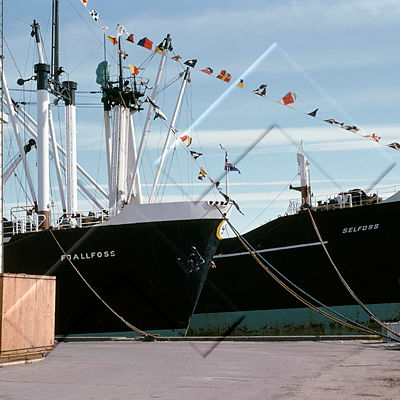 SVK 003 079 1-3