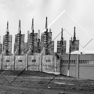 ÁBS 1 981