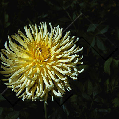 KRG 001 016 1-3