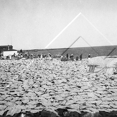 KAN 0206.jpg