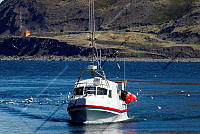FBL PS 3539.jpg