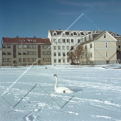 SDF 001 117 4-1.jpg