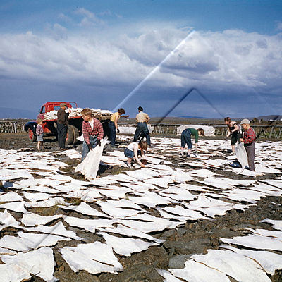 HSC 001 047 3-2 stór.jpg