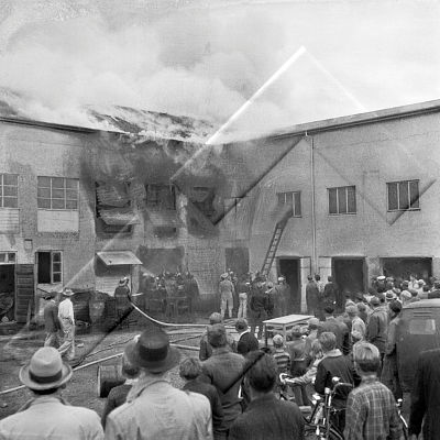 ÓSS 008 081 4-2.jpg