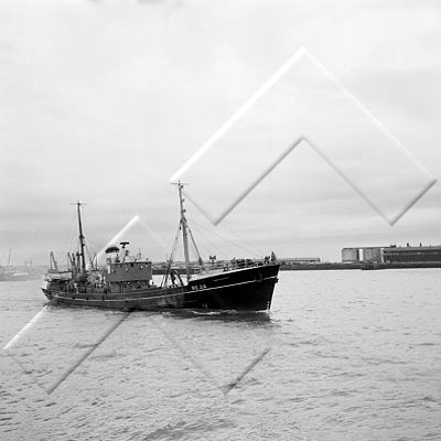 SNS 012 035.jpg