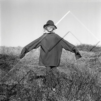 ÓKM 360 158 2-2.jpg