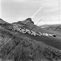 ÓKM 063 134 3-2.jpg