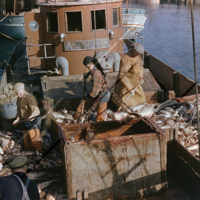 GRÓ 019 018 5-2.jpg