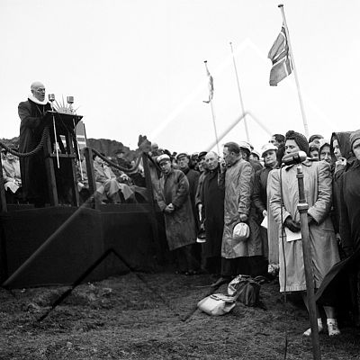 VIG 0195 002 1-1