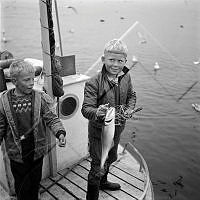 ÓKM 063 131 4-3.jpg