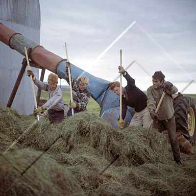 SDF 002 011 4-2.jpg